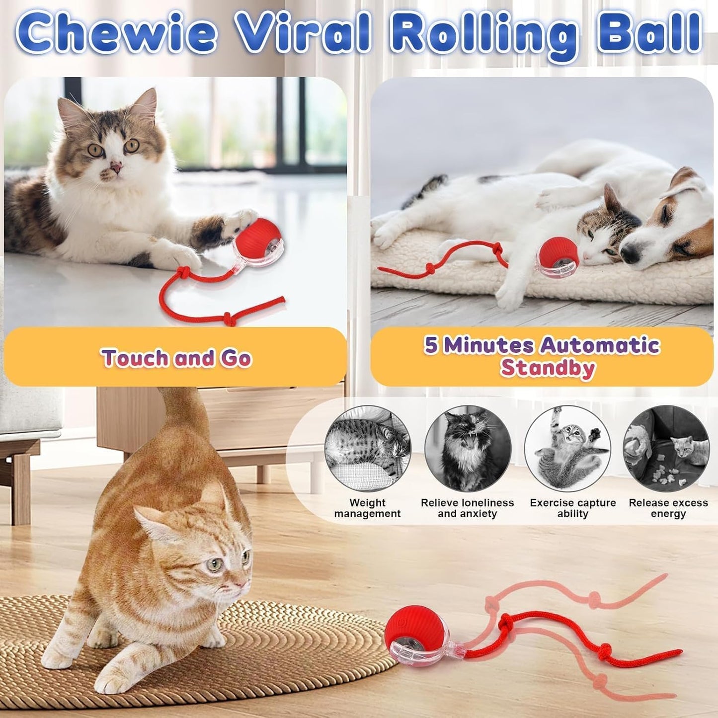 Pawzzo™ — The Ultimate Fun Toy for Pets
