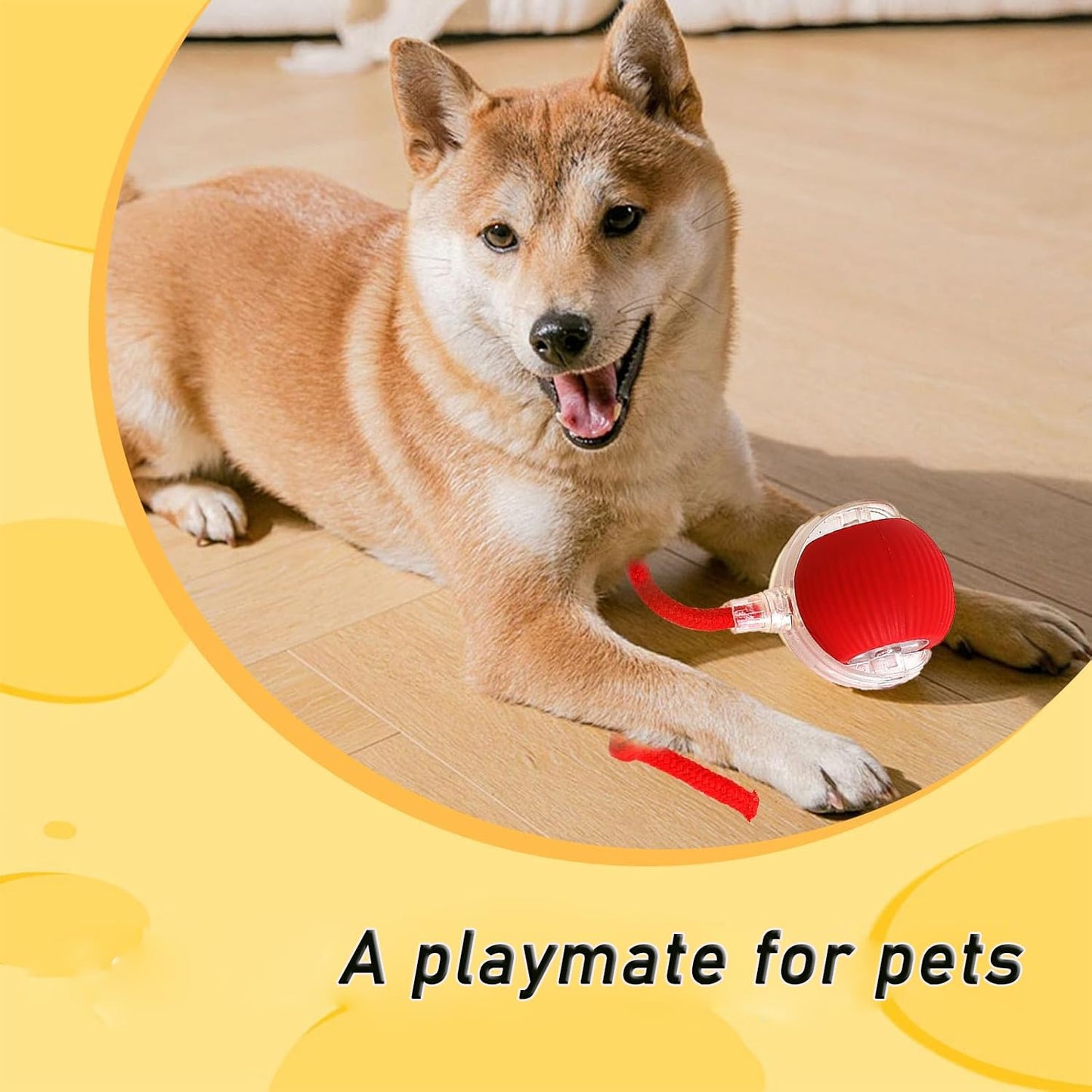 Pawzzo™ — The Ultimate Fun Toy for Pets