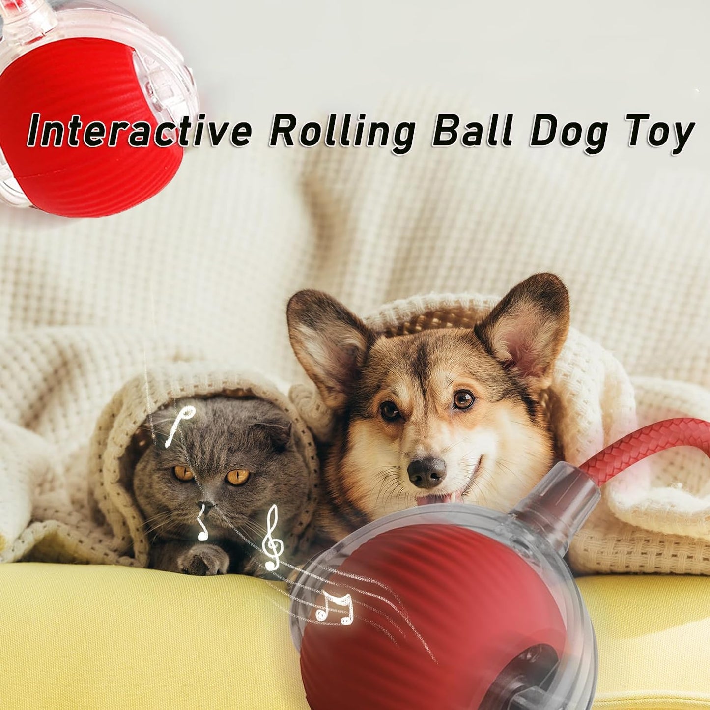 Pawzzo™ — The Ultimate Fun Toy for Pets