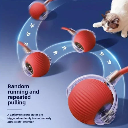 Pawzzo™ — The Ultimate Fun Toy for Pets
