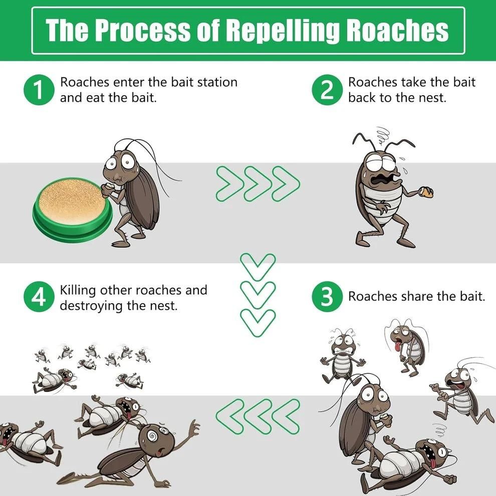 Cockroach Killer Gel (𝐁𝐮𝐲 𝟏 𝐠𝐞𝐭 𝟏 𝐅𝐫𝐞𝐞)