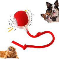 Pawzzo™ — The Ultimate Fun Toy for Pets