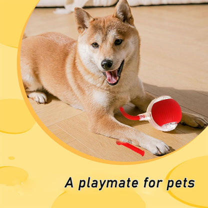Pawzzo™ — The Ultimate Fun Toy for Pets