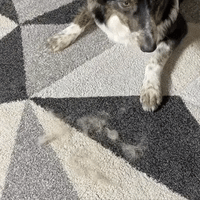 Furswipe™ Hair remover glove + Get a free petzumo deep clean brush