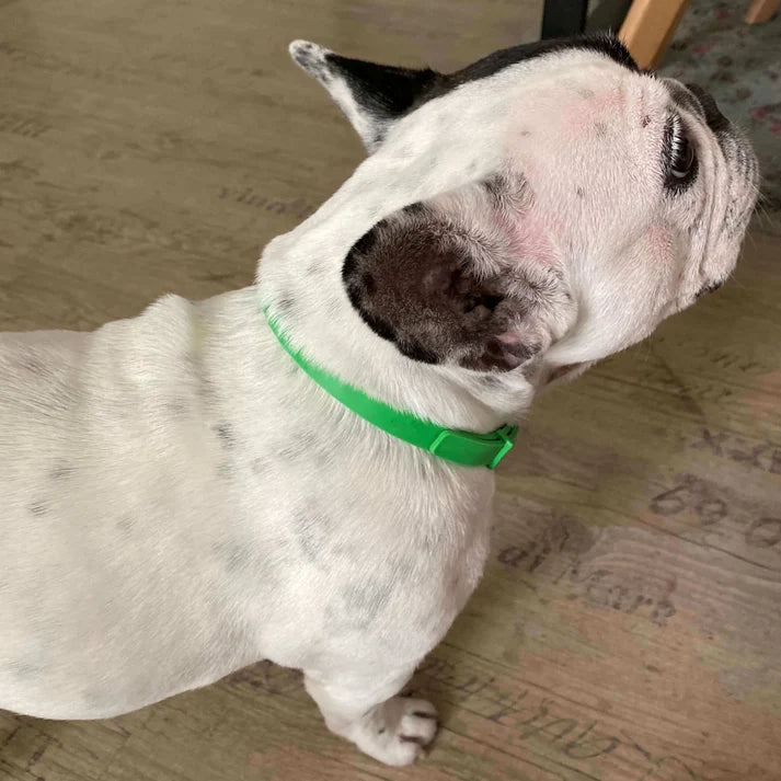 Fur LYF-Tick & Flea Free Collar