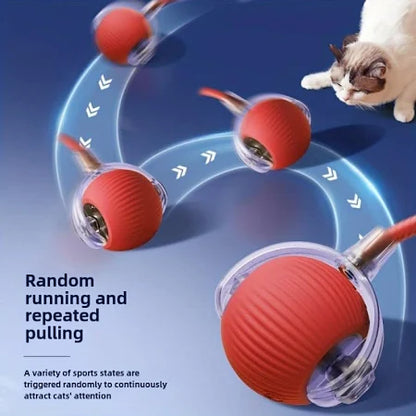Pawzzo™ — The Ultimate Fun Toy for Pets